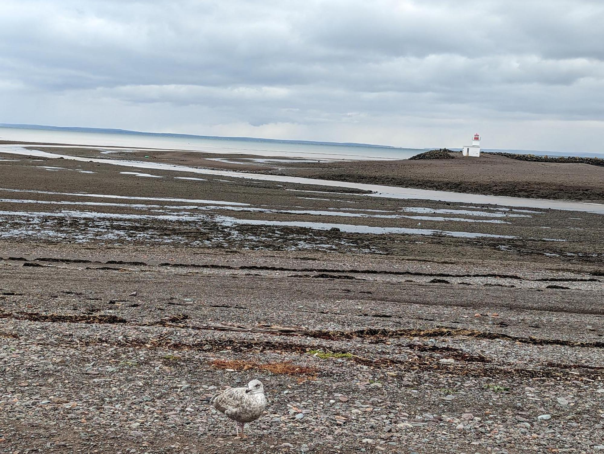 The Parrsboro Mansion Inn ภายนอก รูปภาพ